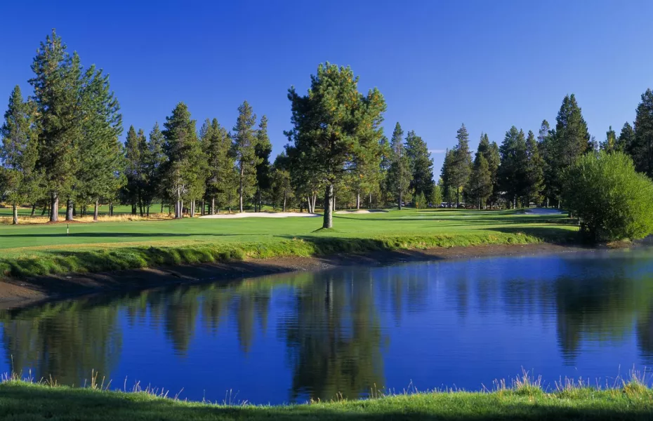 Golf course fairway lined with pine trees