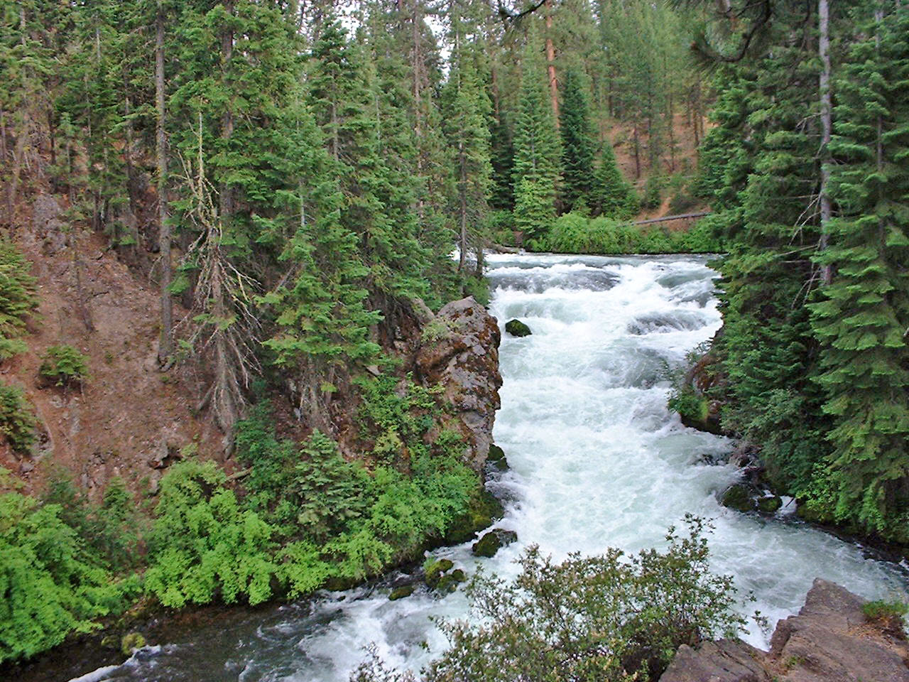 Waterfall cascading through a forest canyon