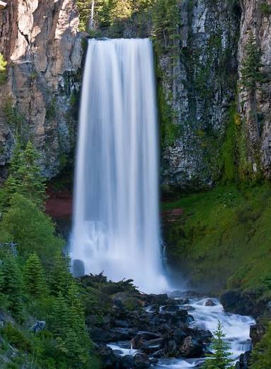 Tall waterfall in a lush forest