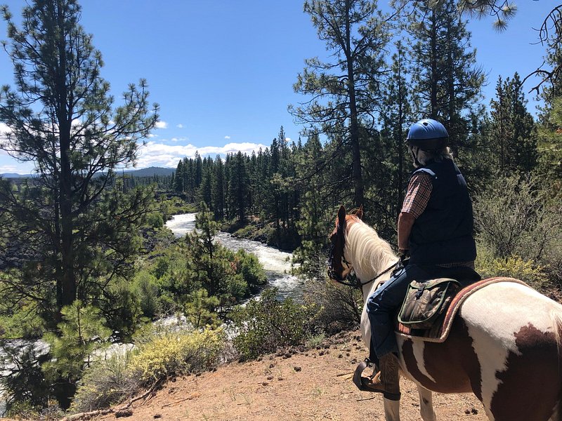 Horseback rider trotting along a riverside trail